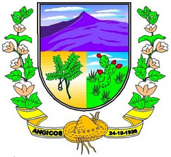 Brasão de Angicos