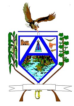 Brasão de Aparecida