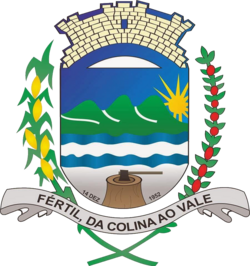 Brasão de Borrazópolis